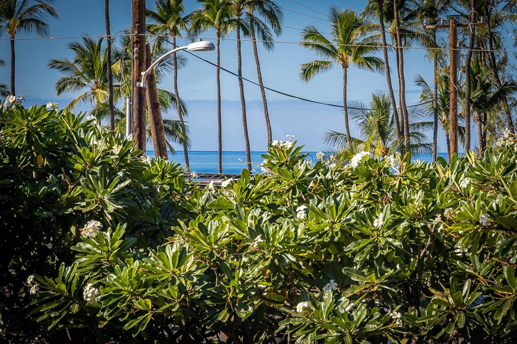 Maui Vista 1210 Διαμέρισμα Kihei Εξωτερικό φωτογραφία